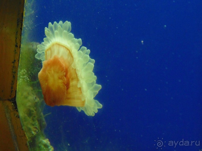 грязно и скучно