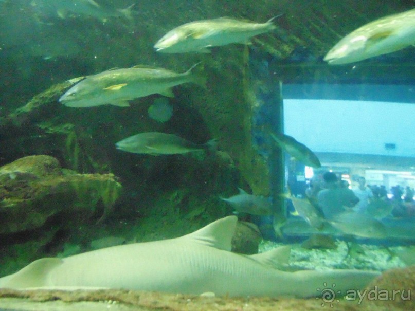 грязно и скучно