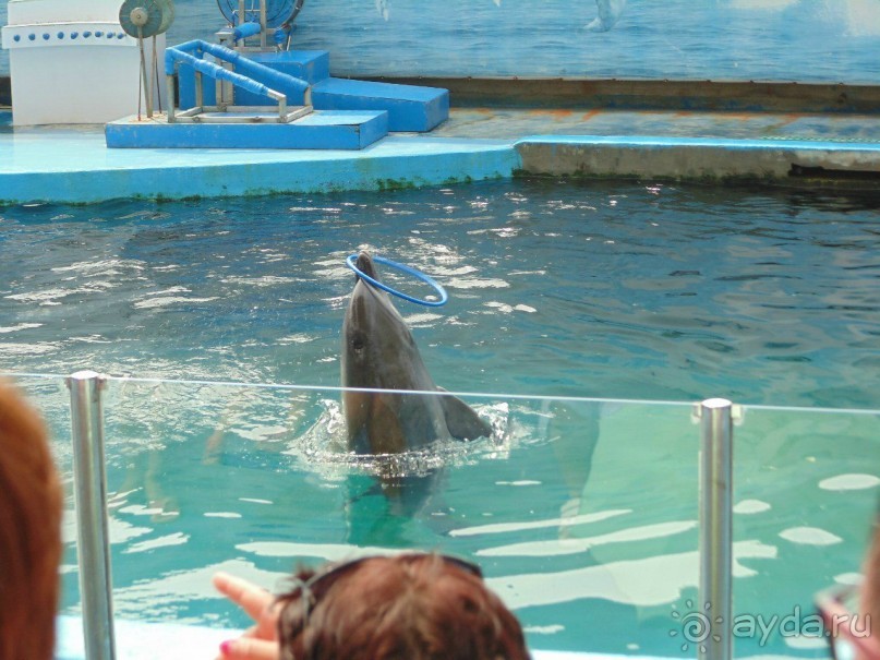 грязно и скучно