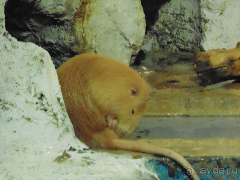 грязно и скучно