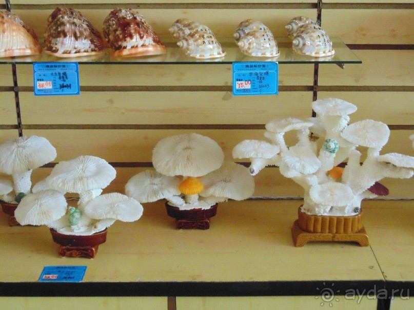 грязно и скучно