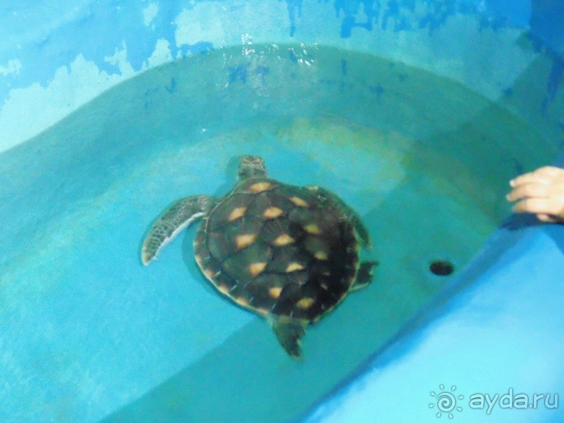 грязно и скучно