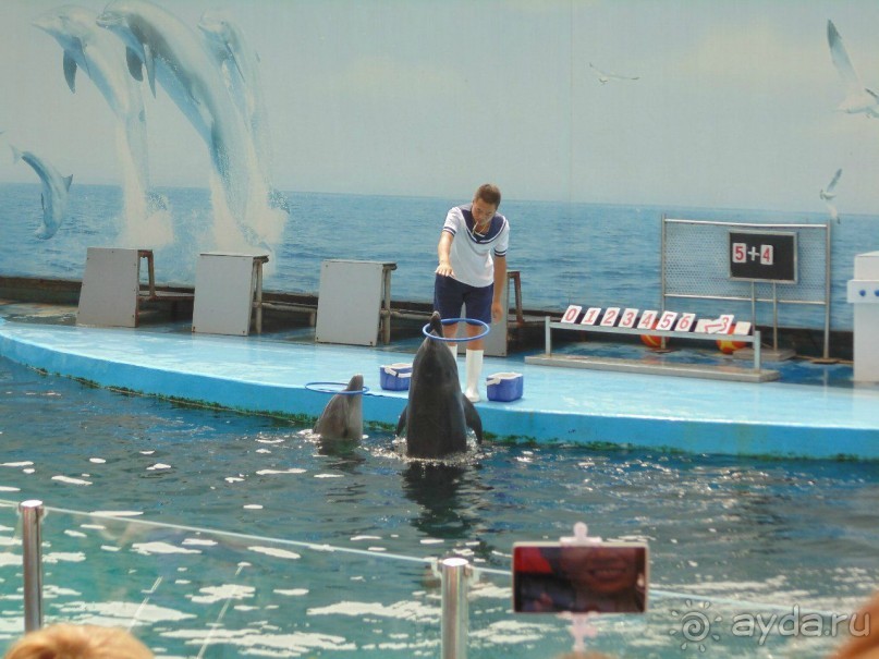 грязно и скучно