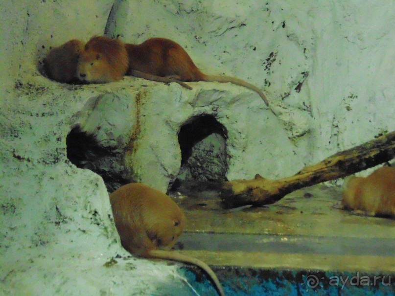 грязно и скучно