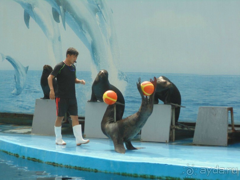 грязно и скучно