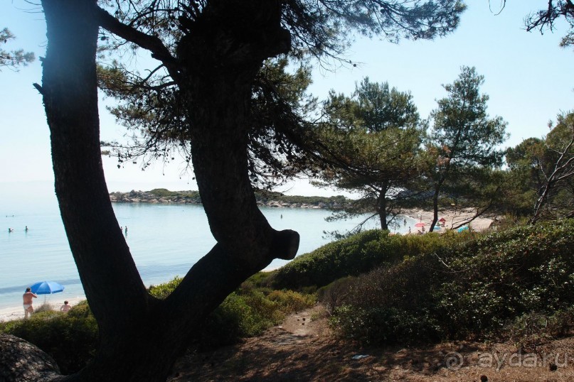 Ситония. Вурвуру. Пляж Кариди.