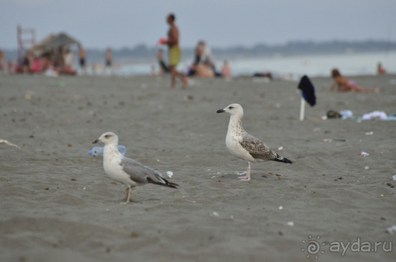 Незабываемые впечатления от поездки в Черногорию