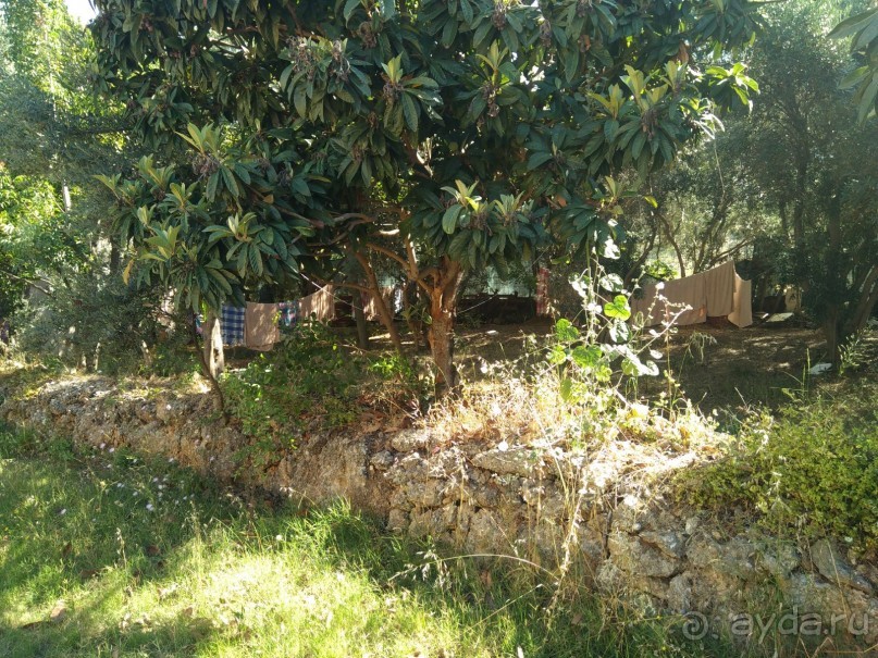 Из плюсов только море...