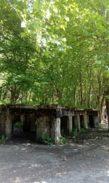 Альбом отзыва "Абхазия, мой Отдых 2017"