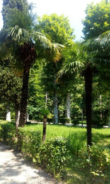 Абхазия, мой Отдых 2017