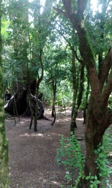 Абхазия, мой Отдых 2017