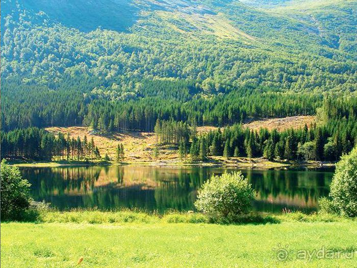 Альбом отзыва "Отдых в Норвегии"