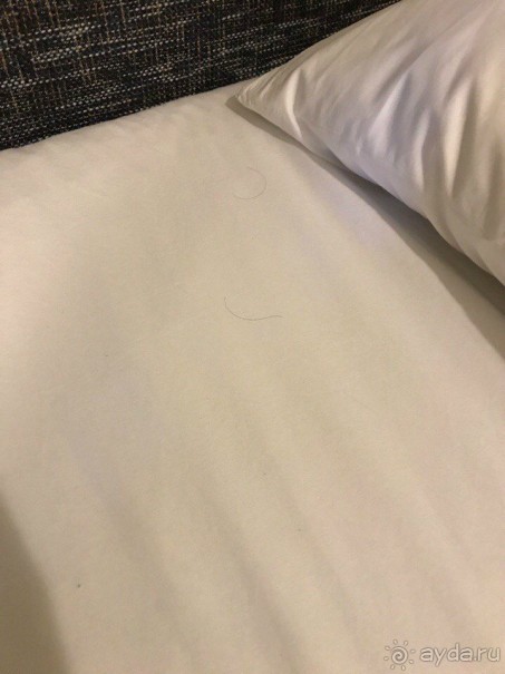 Тихий ужас отель и Coral-SunMar-Odeon Tours с недопустимым отношением к туристам