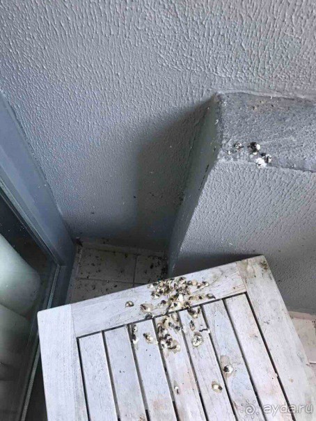 Тихий ужас отель и Coral-SunMar-Odeon Tours с недопустимым отношением к туристам