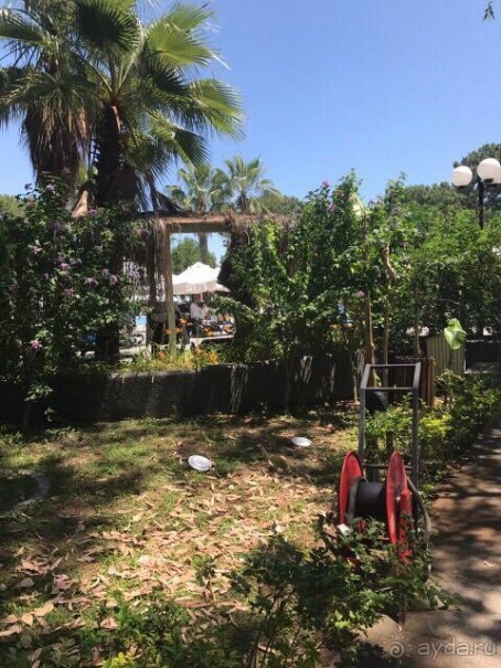 Тихий ужас отель и Coral-SunMar-Odeon Tours с недопустимым отношением к туристам