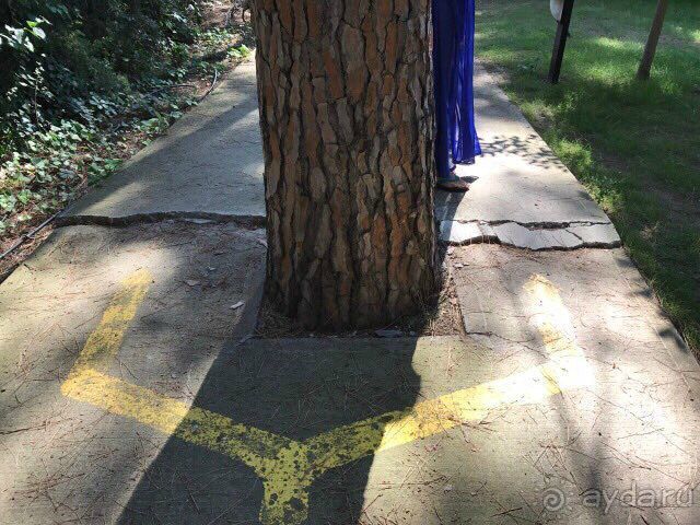 Тихий ужас отель и Coral-SunMar-Odeon Tours с недопустимым отношением к туристам