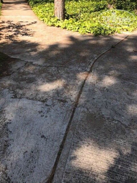 Тихий ужас отель и Coral-SunMar-Odeon Tours с недопустимым отношением к туристам