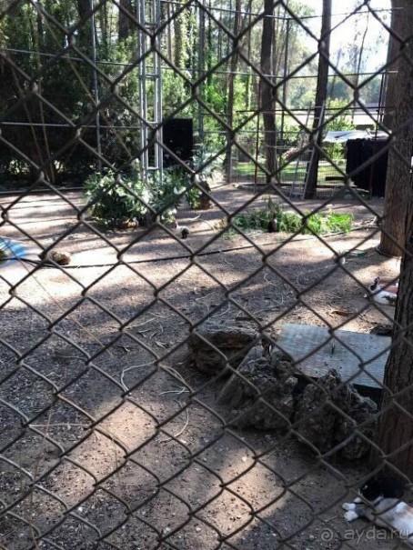 Тихий ужас отель и Coral-SunMar-Odeon Tours с недопустимым отношением к туристам