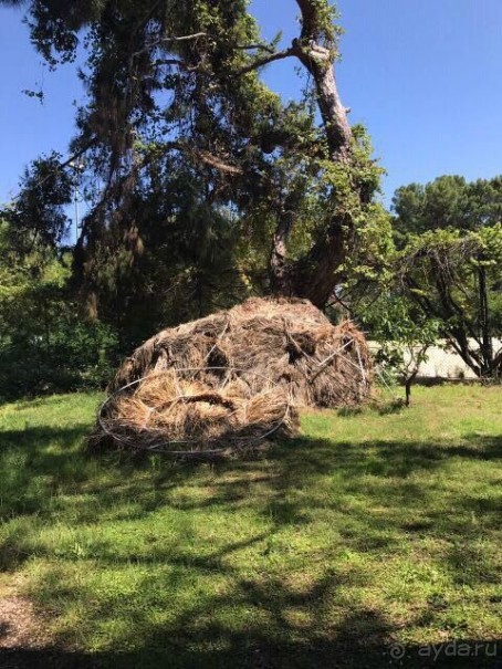 Тихий ужас отель и Coral-SunMar-Odeon Tours с недопустимым отношением к туристам