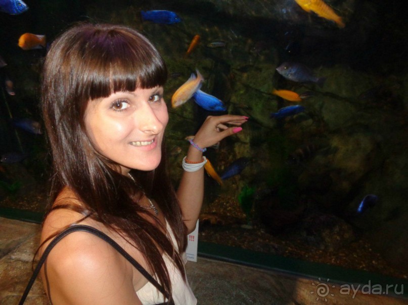 Отличный отдых в Сочи