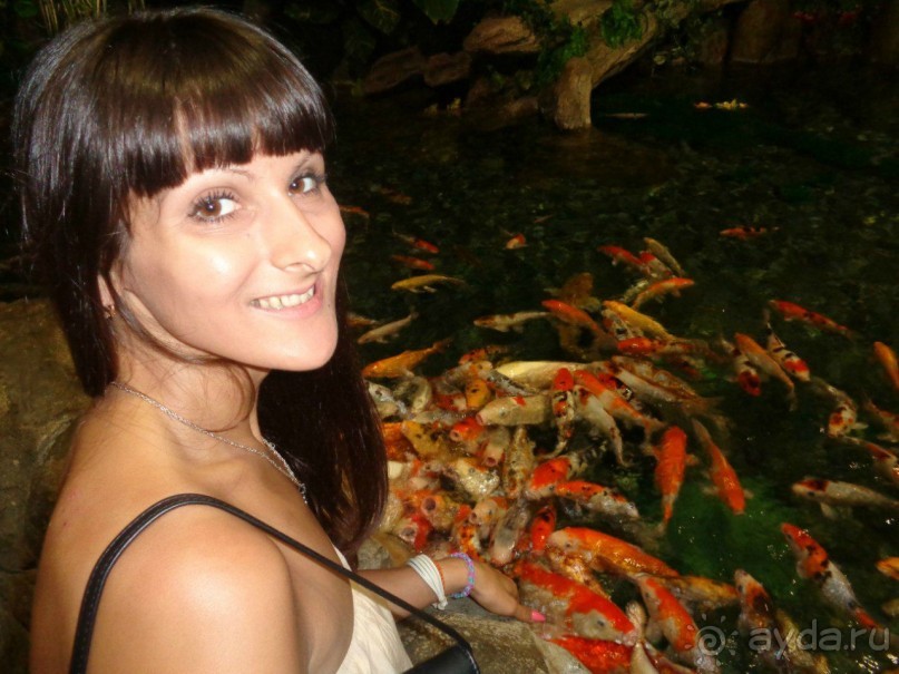 Отличный отдых в Сочи