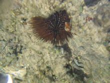 Впечатлило.....