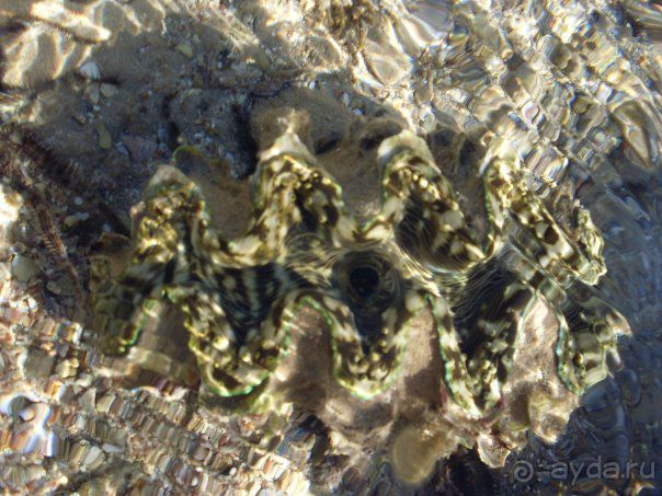 Впечатлило.....