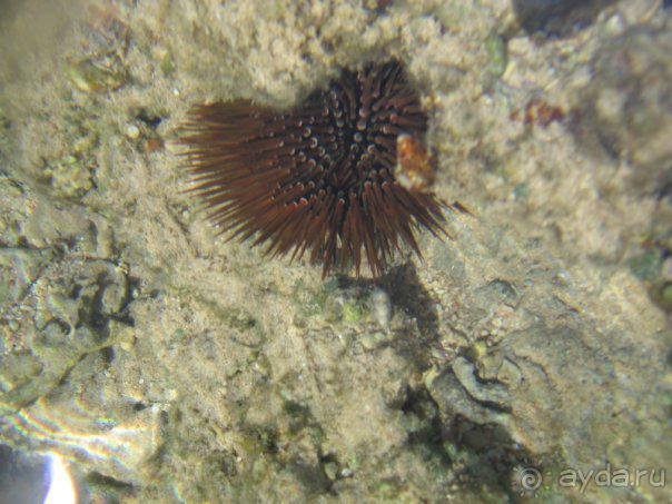 Впечатлило.....