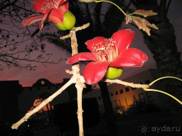 Впечатлило.....