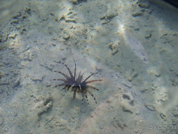 Впечатлило.....