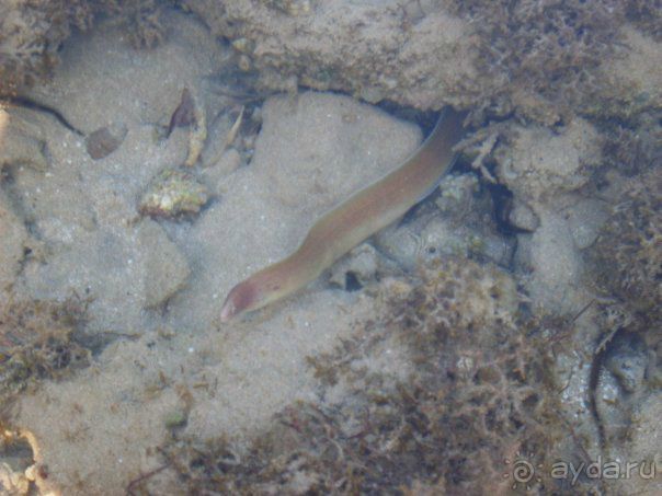 Впечатлило.....