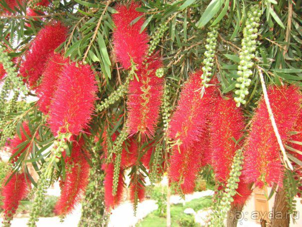 Впечатлило.....