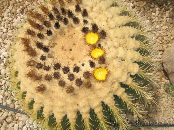 Впечатлило.....