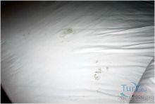 фото Melton Tiran Resort 