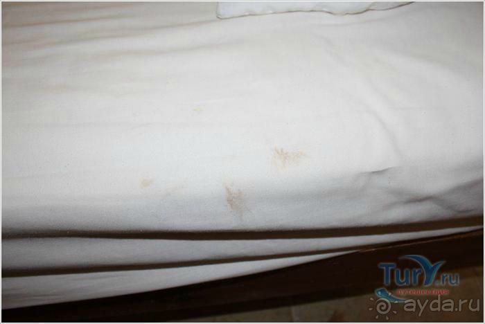 ужасный отель и прекрасный риф