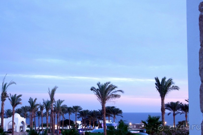 ужасный отель и прекрасный риф