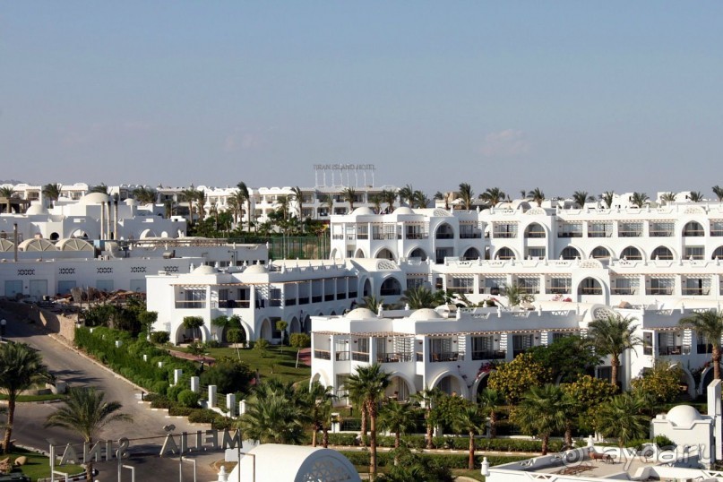 ужасный отель и прекрасный риф