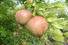 Отдохнули хорошо )