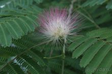 Отдохнули хорошо )