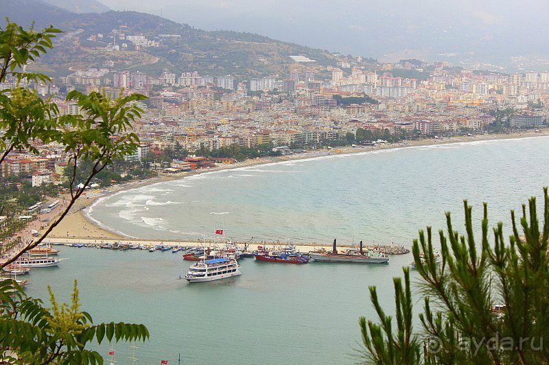 фото Golden Tulip Hotel Aqaba