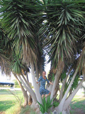 фото Grand Tala Bay Resort