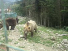 туристический комплекс  Захар Беркут 