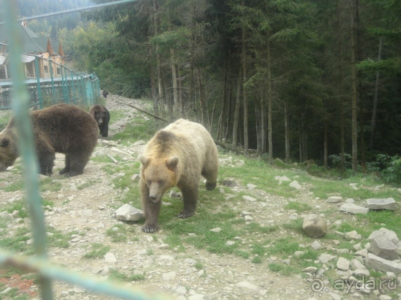туристический комплекс  Захар Беркут 