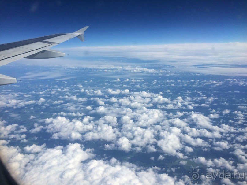 Рейтинг впечатлений о Сочи