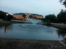 Самый надежный отель в Джэксонвилле