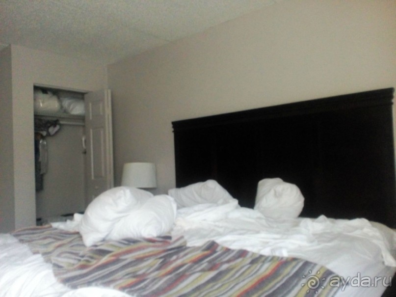 Самый надежный отель в Джэксонвилле