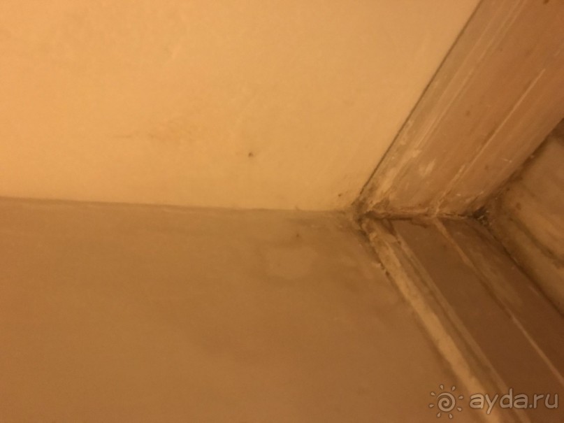 чистота пляжных шезлонгов