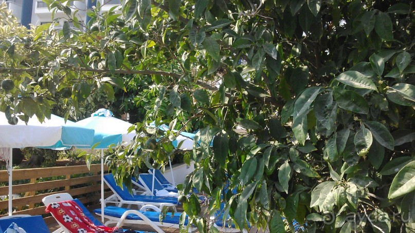 Самый замечательный отель в котором я отдыхал