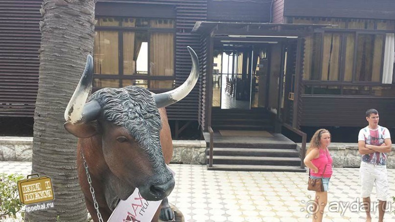 Отдых в гагре