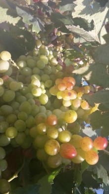 Самостоятельное путешествие по окрестностям Мармариса